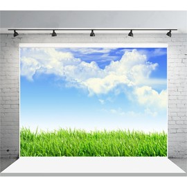 Leyiyi 10x8ft Spring Grassland Photography Background Gardening Plant Meadow Sky Cloud Light Spot North Prairie Backdrop Nature View Outdoor Activity Kids Birthday Photo Portrait Vinyl Studio Prop