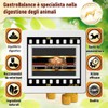 GastroBalance cani probiotici - 60 bocconcini masticabili naturali prebiotici e