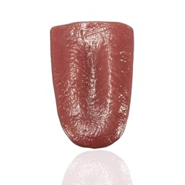 MAGIC - Tasty tongue