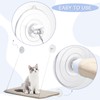 Tondiamo 8 Pcs Suction Cups Cat Window Perch Cat Window