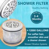 Can-Meageren Replacement Fixed Shower Filter Compatible with MakeFit Filtered Shower