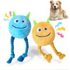 lilfrd Dog Toys for Small Dogs - 2 Pack Squeaky