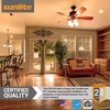 Sunlite G16 LED Dimmable Decorative Globe Vanity Light Bulbs, Frosted,