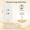 2 Pack 1.0 Speaker Wall Plates with Low Voltage Mounting