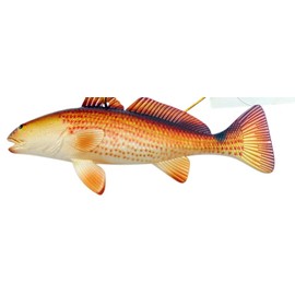 Redfish Ornament Realistic Christmas Tree Decoration Polyresin, 5 Inches