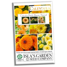 "Apricot Pacific Beauty" Calendula Seeds for Planting, 250+ Seeds Per Packet, (Isla's Garden Seeds), Non GMO & Heirloom Seeds, Scientific Name: Calendula officinalis, Great Home Flower Garden Gift