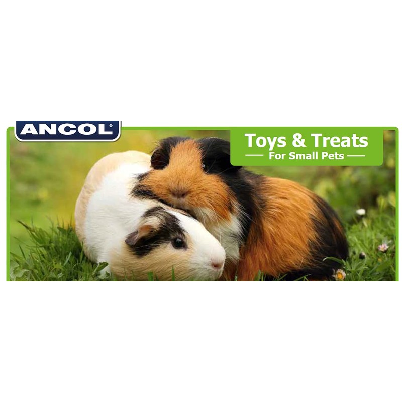Ancol Just 4 Pets Wooden Carrot Cruncher Chew Toy
