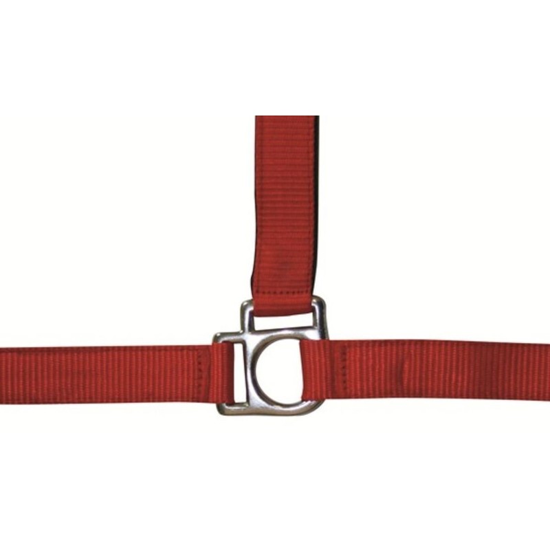 HKM Stars 558526 Headcollar Thoroughbred Dark Blue