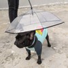 Lesypet Dog Umbrella - Adjustable Pet Dog Umbrella with Leash