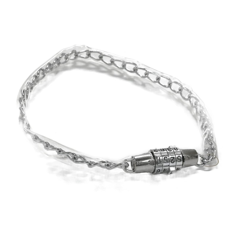 SAGISAKA 43486 Bicycle Key Dial Chain Lock 19.7 inches (50