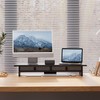 Fenge Dual Monitor Stand, 2 Tiers Monitor Riser for Desk,