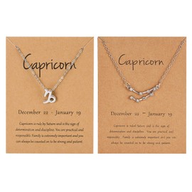 iDIMSON 2 Pieces Zodiac Necklace Gold Silver CZ 12 Constellation Pendant Necklace Astrology Sign Necklace Gifts for Women (Silver-Capricorn 2pcs)