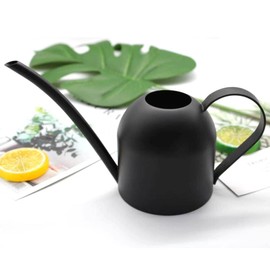 YISSSN Small Watering Can for Indoor Plants, 15oz/450ml Stainless Steel Long Spout Watering Can for Succulents, Herbs (Black)