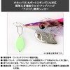 Daiwa 896030 Eging Agorig Sinker II 0.02 oz (0.5 g),