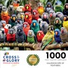 Cross & Glory - Kaleidoscope of Feathers - 1000 Piece