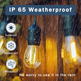 GOODSMANN Outdoor Low Voltage String Lights 12V 10PK LED 50FT Hanging Lighting Bulbs with 2800K Warm White Weatherproof Bulb for Garden Hallway Patio Party Decoration 9132-82601-10A