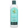 Jason Purifying Tea Tree Shampoo, No Parabens, 12 Ounce (Pack
