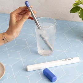 LifeStraw SIP Stainless Steel Water Filter Straw with Carry Case, Apricot