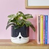 balvi Kitty Flower Pot Colour Black and White Original Flower