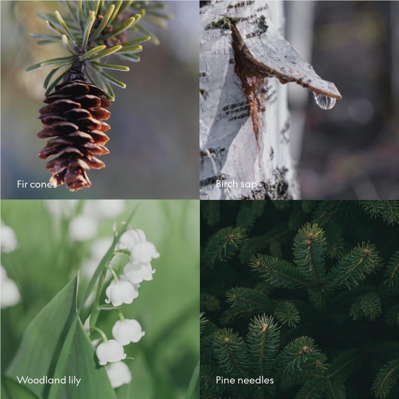 Skandinavisk Skog Gift Set of Scented Candle 2.3 oz. &