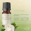 MEVA Esencias para Difusores y Humidificadores de Aromas 5ml Varios