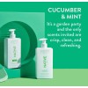 Kit De Shampoo Y Acondicionador Vegano Native Pepino Y Menta