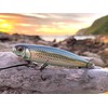 Rapala - Precision bait precision Xtreme pencil plastic construction -