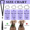 Dog Training Collar and Dog Whistle Set Stainless Steel No