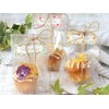 Uzunohana Dried Edible Flowers <Eat Oshiba > Viola 20 Count