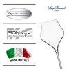 Luigi Bormioli Supremo - Set of 2 Burgundy Wine Glasses