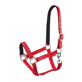 Start Adjustable Horse Headcollar - Nylon Headcollar with Padding - Sizes: Pony, Cob, Warmblood - Comfortable & Robust - Horse Halter for Stable & Pasture (Red, Full)