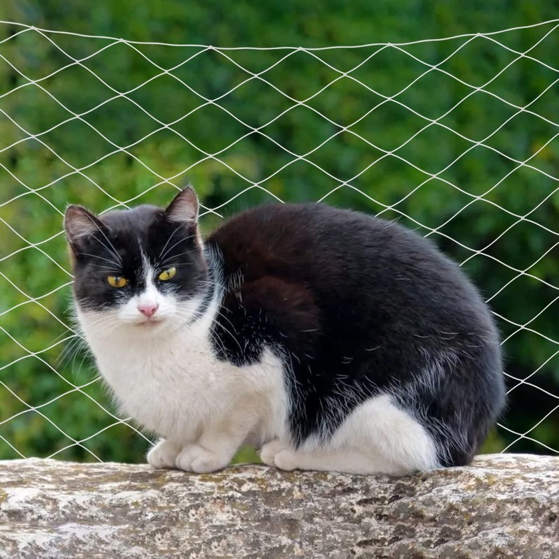 Cat Balcony Net, Anti-Fall Pet Safety Fence - Transparent Nylon