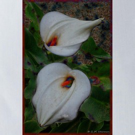 CafePress Calla Lilies 18"x18" Reusable Grocery Shopping Sling Tote Bag