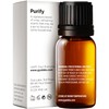 Gya Labs Purify Essential Oil Blend for Diffuser & Skin