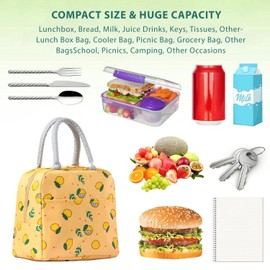 YumSur Lunch Bag Insulated Tote Bag Lunch Box Resuable Cooler Bag Lunch Container Waterproof Lunch Holder for Women,Men,Student and Kid