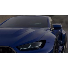 Platinum CERAMIC CAR COATING "PROFESSIONAL "10 YEAR" GRAPHENE PROTECTION" 3.38OZ KIT