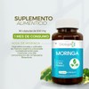 BIOSUPLE | Moringa con Té Verde y Vitamina C. –