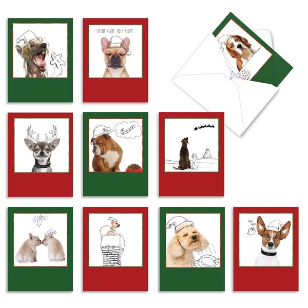The Best Card Company - 10 Blank Christmas Note Cards - Pet Cats and Dogs, Boxed Xmas Animal Cards for Kids (4 x 5.12 Inch) - Holiday Dogs and Doodles M6582XSB