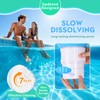 Blufree Pool Chlorine Floater, Solar Whale Chlorine Tablet Floater w/Light,