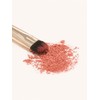 [Vivid coloring]The Tool Lab 209 Defining Eye Shadow / [선명한