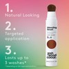 Josh Wood Colour Light Brown Blending Brush Duo Bundle Grey