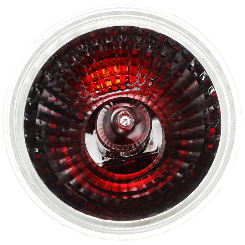 Zensui Micro Infrastructure Red 40W