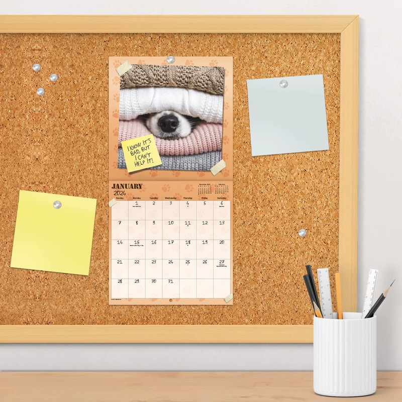 2024 Guilty Dog Mini Wall Calendar