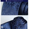 Hisdern TP-01S Men’s Paisley Pattern Necktie and Square Set, Business,