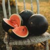 Black Tail Mountain Watermelon - 25 Seeds - Deliciously Sweet
