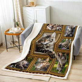 Feelyou Maine Coon Fleece Throw Blanket for Bed Sofa Couch Cute Cat Plush Blanket Throw 50"x60" Kawaii Kitten Pet Sherpa Blanket Gift for Maine Coon Lover Fuzzy Blanket Flannal Blanket