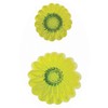PME 103FF016 JEM Embossed Daisy Cutters, Set of 2, White,