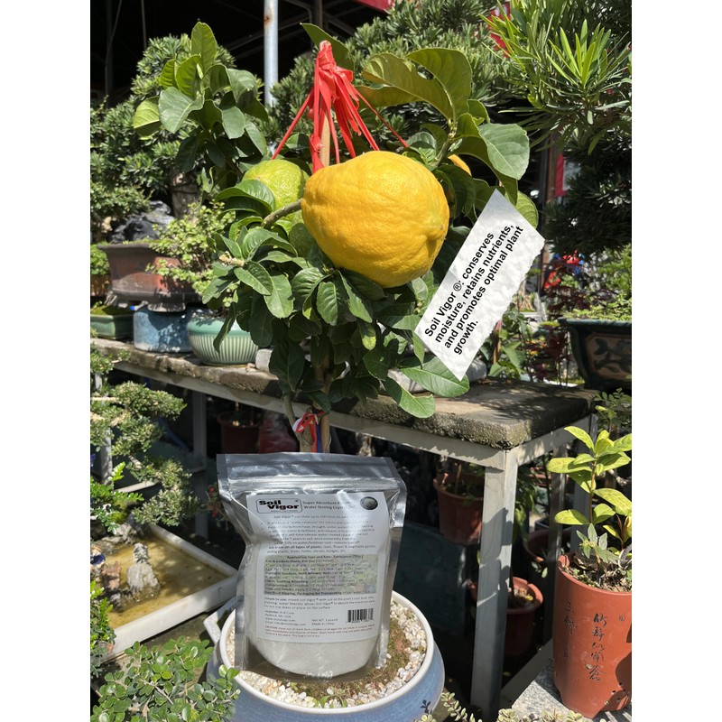Soil Vigor Potassium Polymer – Superabsorbent Soil Conditioner – Improves