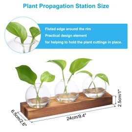PATIKIL Plant Propagation Stations Glass Vases, Small Desktop Plant Terrarium Container with Wooden Tray 3 Bulb Flower Vase for Hydroponic Office Home Decor Plants Indoor