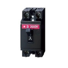 Panasonic BS20206 Safety Breaker, HB Type, 2P2E, 6A